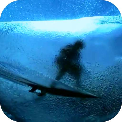 Surfing HD Video Wallpaper 9.0