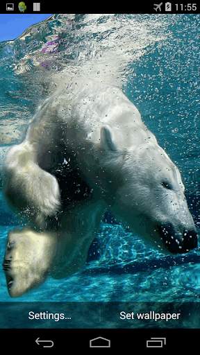 Polar Bear Live Wallpaper screenshot 3