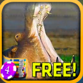 Dishonest Hippopotamus Slots icon