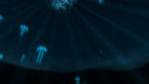 Jellyfish 3D LiveWallpaper screenshot 11