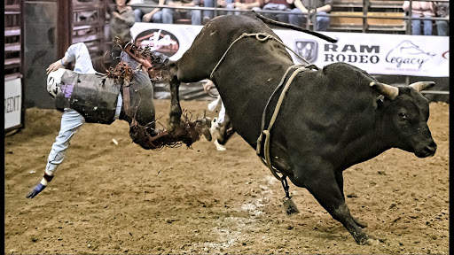 RODEO STYLE WALLPAPER screenshot 2