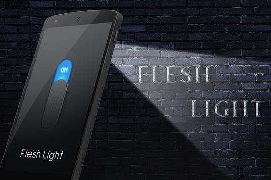 Flash Light screenshot 1
