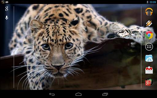 Magic Touch: Leopard Live Wallpaper screenshot 6