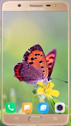 Butterfly Wallpaper Best HD screenshot 1