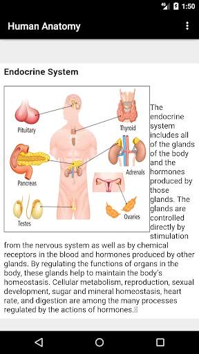 Human Anatomy screenshot 3