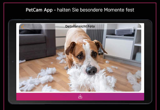 PetCam - Hundemonitor App screenshot 6
