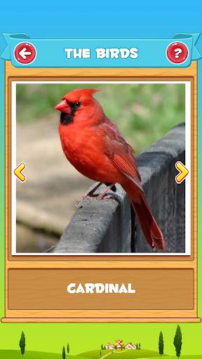 Learn the Birds screenshot 1