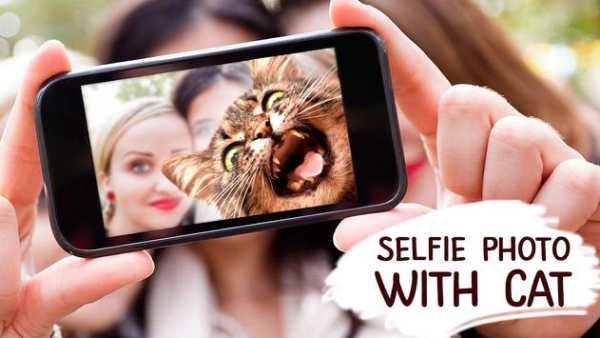 Selfie photo with cat screenshot 1