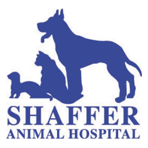 Shaffer Animal Hospital 300000.2.24