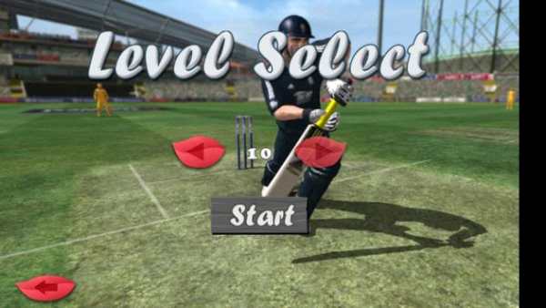 Best Cricket Game The Run screenshot 5