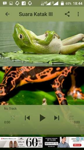 Suara Katak Mp3 screenshot 3