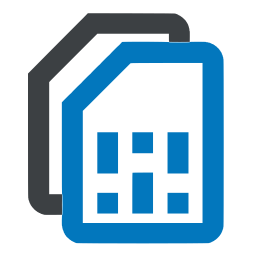 Dual Sim icon