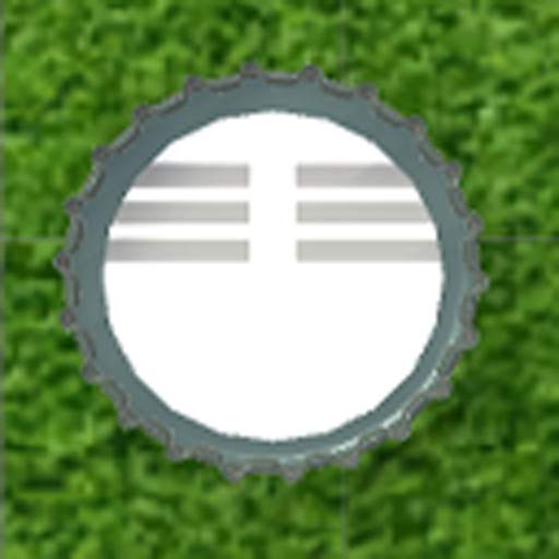 Soccer Caps 3D 1.0