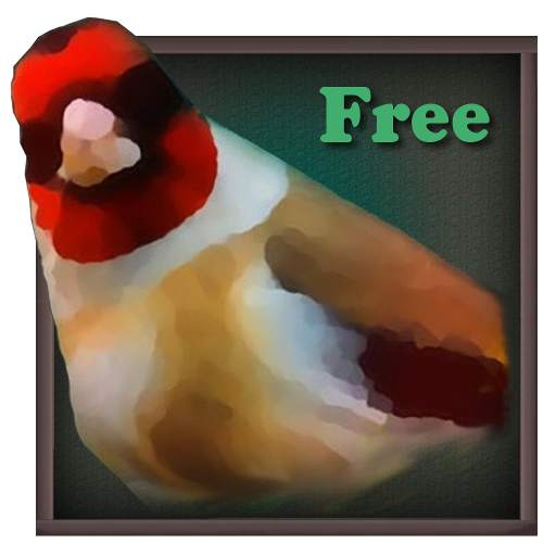 Birdquiz Free 2.3.0