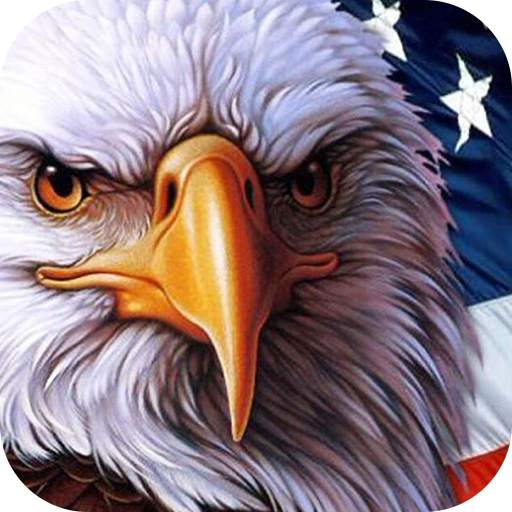 American Flag Live Wallpaper Themes 2.3.8