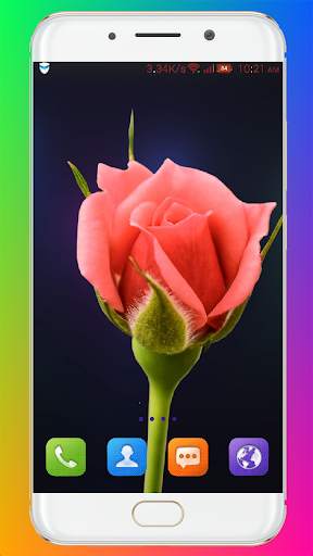 Flower Wallpaper HD screenshot 15