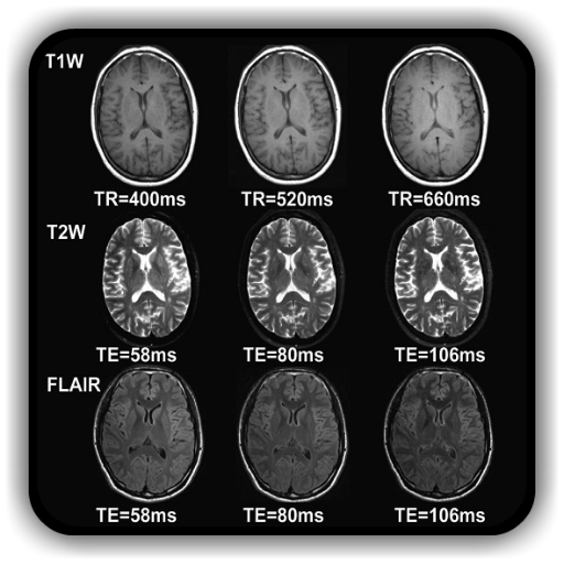 Overview of MRI Pulse Sequences أيقونة