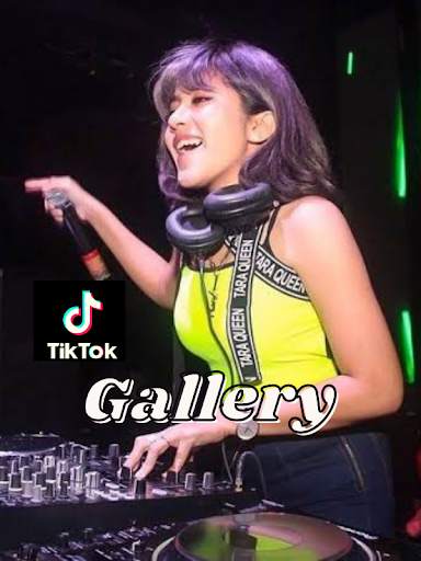 DJ TIKTOK LENGKAP NEW OFFLINE screenshot 5