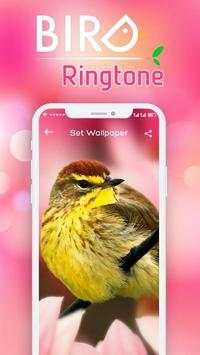 Ringtones 2018: Birds Sounds Ringtones screenshot 6