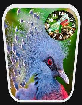 Bird clock live wallpaper screenshot 5