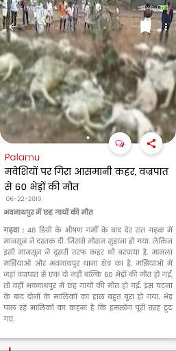 Capital News Palamu Live TV News App screenshot 3