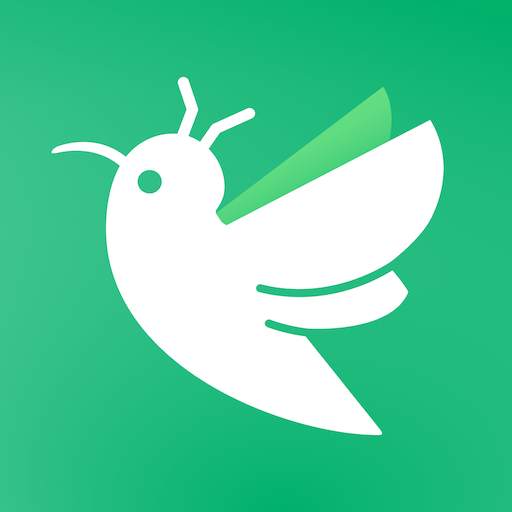 Sender! 2.0.24