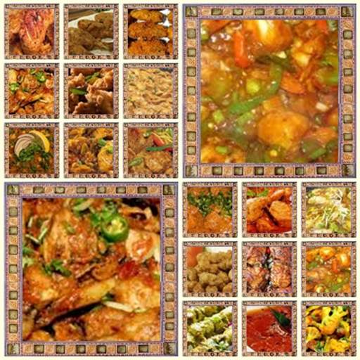 Chicken Recipes In Urdu 1.4