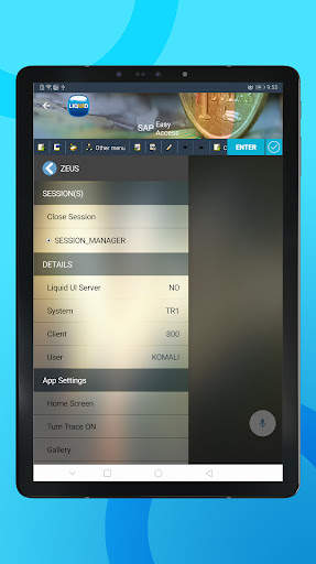 Liquid UI Client for SAP screenshot 11