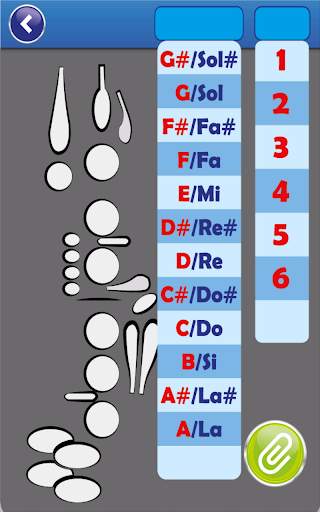 Your Fingering Chart Lite screenshot 5
