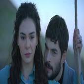 Hercai 1.3