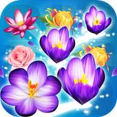Blossom Crush Legend 2.1.3