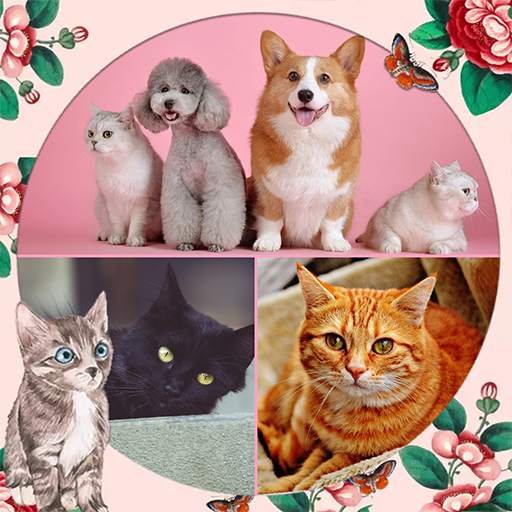 Pets photo editor screenshot 3