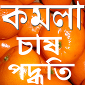 কমলা চাষ পদ্ধতি icon