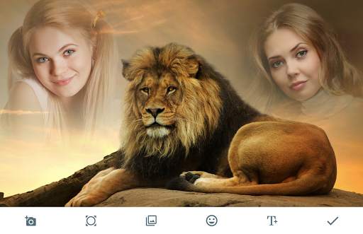 Lion Photo Frames screenshot 1