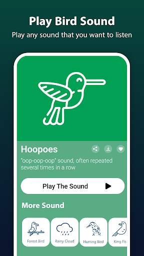Bird Ringtone: Bird Sound screenshot 3