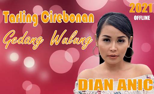 Dian Anic Mp3 Full Album Offline 2021 screenshot 6