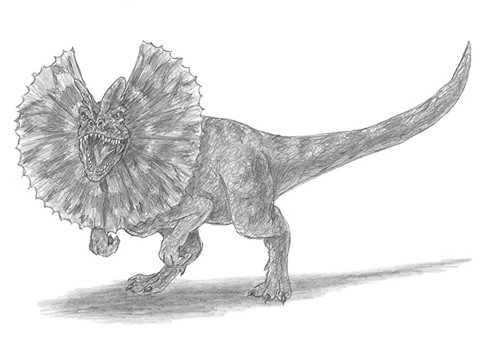 How To Drawing Dinosaurs Real screenshot 5