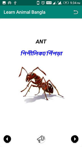Learn Animal Bangla скриншот 7