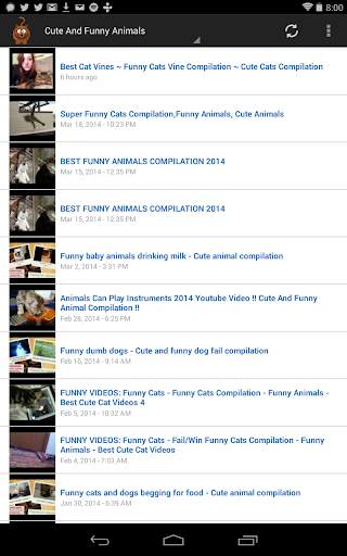 Funny Pet Videos स्क्रीनशॉट 8