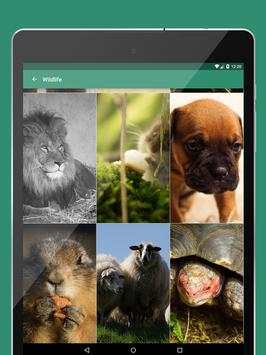 Wallpapers for Whatsapp & Co screenshot 10