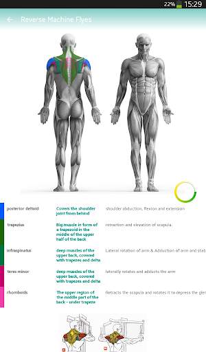 BodyBuilding screenshot 13