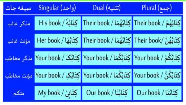 Arabic Grammar In English 9 تصوير الشاشة