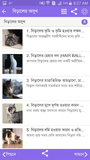 Amar Cat screenshot 2