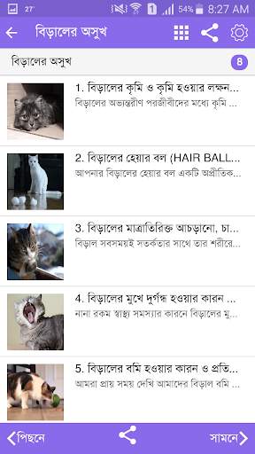 Amar Cat screenshot 2