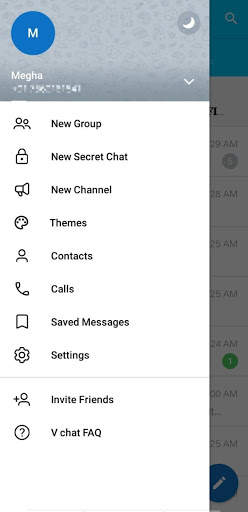 V chat screenshot 2