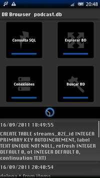 DB Browser screenshot 1