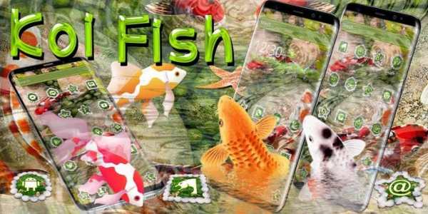 Koi Fish Launcher Theme screenshot 4