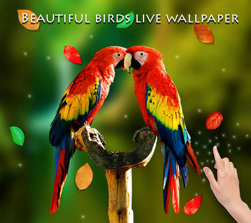 Birds 3D Live Wallpaper screenshot 9