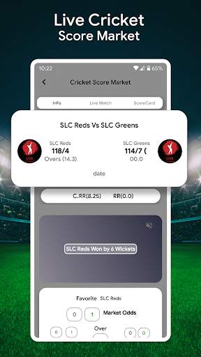Live Cricket Score : Live Match screenshot 4