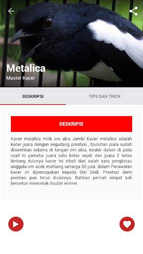 Suara Burung Kacer Juara screenshot 2